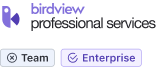 Professional services__Team (-) Enterprise (+)_075.png